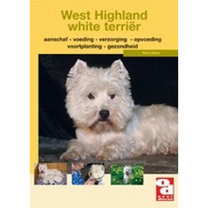 Over Dieren OD west highalnd white terrier bij Hondenpenning.net HETDIER.nl en Amigos en AnimalWebshop