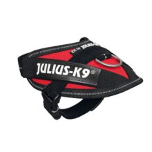 K9 IDC POWERTUIG BABY 1 RD 29-36
