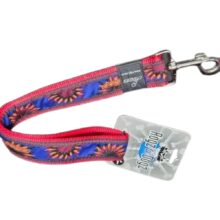 Lijn nylon Royal Sunrise