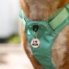 Hondenpenning luxe "I love Mom" - Afbeelding 2