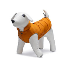 BZ HONDENJAS WISTI ORA 24