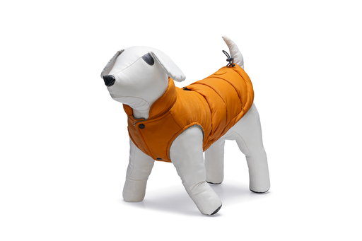 BZ HONDENJAS WISTI ORA 68