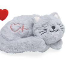 BZ KITTEN KNUFFEL HEARTBEAT PUR 23