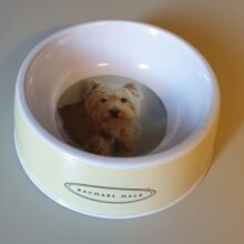 Voerbak van Rachael Hale met afbeelding van een West Highland white terrier.