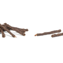 BZ PAARDENSTICKS MET HERTENVLEES 100G